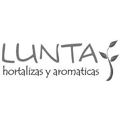 Lunta