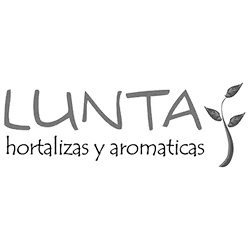 Lunta, cliente de VeoTime